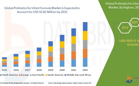 Middle East and Africa Prebiotics for Infant Formula Market Insights and Growth Trends