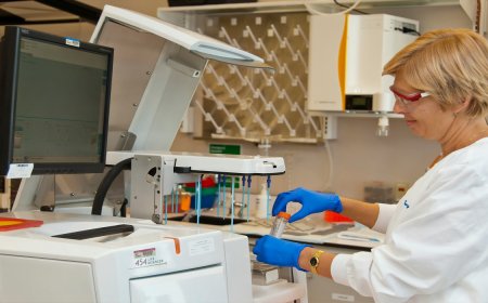 Decoding Molecular Interactions: Advanced Techniques for Protein and DNA Binding Studies