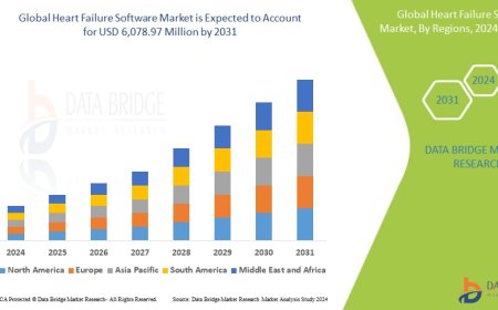 Heart Failure Software Market: Size, Share, and Future Growth 2024 –2031