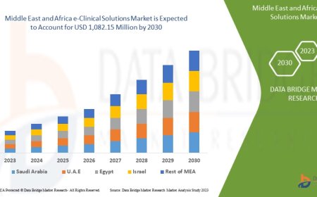 Middle East and Africa e-Clinical Solutions Market Size, Share, Trends, Key Drivers, Growth Opportunities and Competitive Outlook