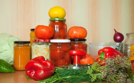 Nutrifactor Products: Your Daily Boost for Natural Wellness and Active Living