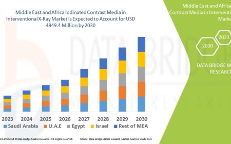 Middle East and Africa Iodinated Contrast Media in Interventional X-Ray Market Size, Share, Trends, Demand, Growth and Competitive Analysis