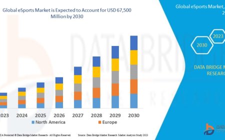 eSports Market: Size, Share, and Future Growth 2024 –2031