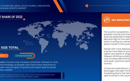 India, South Korea, Singapore, Malaysia and Spain Spirits Market Value Analysis and Current Status 2030
