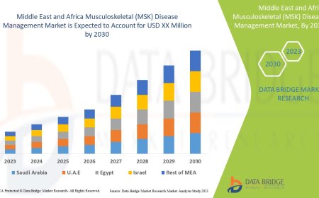 Middle East and Africa Musculoskeletal (MSK) Disease Management Market Size, Share, Trends, Key Drivers, Growth Opportunities and Competitive Outlook