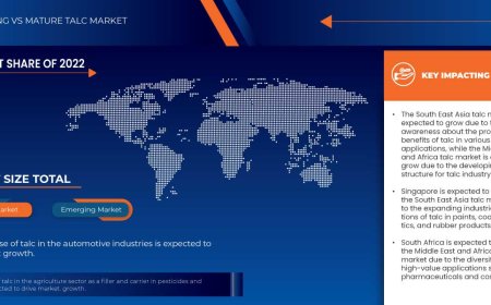 South East Asia and Middle East and Africa Talc Market Value Analysis and Current Status 2030
