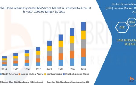 Domain Name System (DNS) Service Market Dynamics: Key Drivers and Restraints 2024 –2031