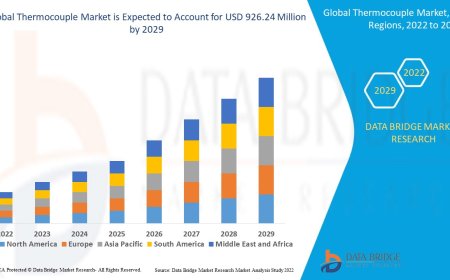 Thermocouple Market Value Analysis and Current Status 2029