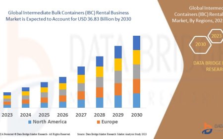 Global Intermediate Bulk Containers (IBC) Rental Business Market Industry Statistics: Growth, Share, Value, and Trends