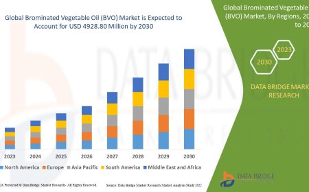 Brominated Vegetable Oil (BVO) Market: Size, Share, and Future Growth 2024 –2031