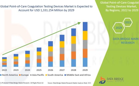 Point-of-Care Coagulation Testing Devices Market Value Analysis and Current Status 2029