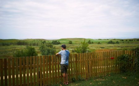 Affordable and Durable Fencing Solutions by Arlington Heights Experts