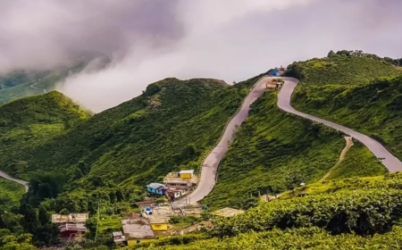 Darjeeling Tour Packages Under 10000: You’re Dream Budget Trip