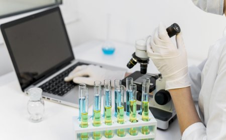 Immunoassays: The Cornerstone of Modern Diagnostic and Research Solutions