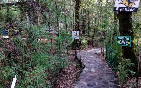 Explore Nature’s Wonder at Eco Cave Park in Nainital