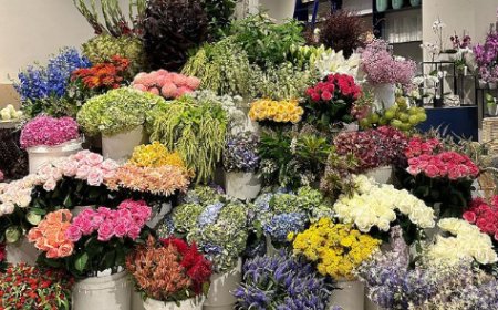 Celebrate Every Milestone: Graduation Flowers and Same-Day Bouquets in Melbourne CBD