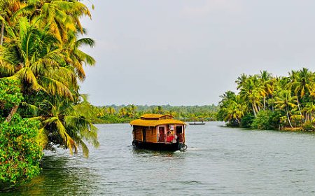 Best Kerala Tours and Travels Packages for Scenic Getaways