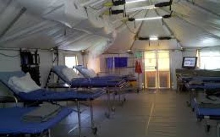 Designing Fun Shapes: Kid-Friendly Sticker Patterns