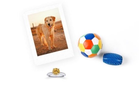 Pet Ashes Diamond: A Beautiful Way to Remember Your Beloved Companion
