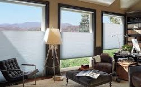 Enhance Your Home with Roller Blinds from Blindeco Toronto