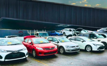 Auto Archaeology: Unearthing Treasures in the Modern Junkyard