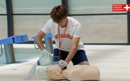 Lifeguard Certificate: Your Key to Professional Aquatic Safety