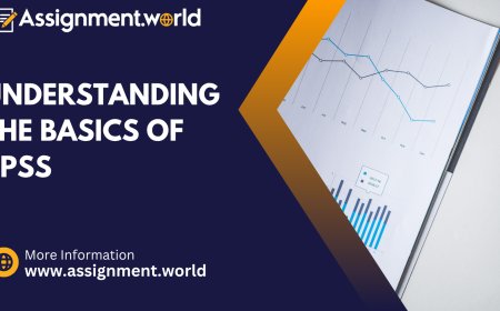 Understanding the Basics of SPSS