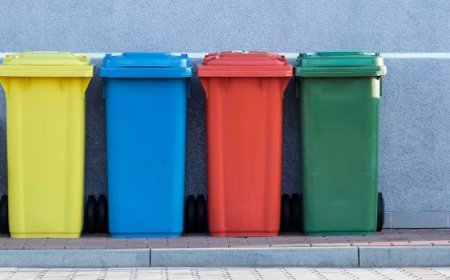 The Best Marketing Strategies for Bin Cleaning Businesses: Unlocking Growth Through Digital Advertising