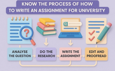 Know the Process of How to Write an Assignment for University