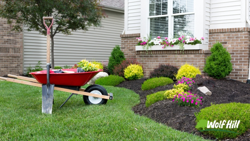 Smart Landscaping in Manassas, VA: A Better Yard Starts Here