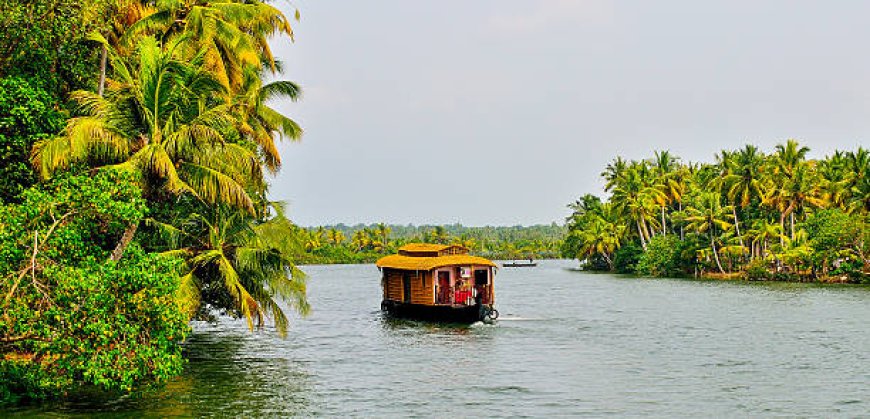 Best Kerala Tours and Travels Packages for Scenic Getaways