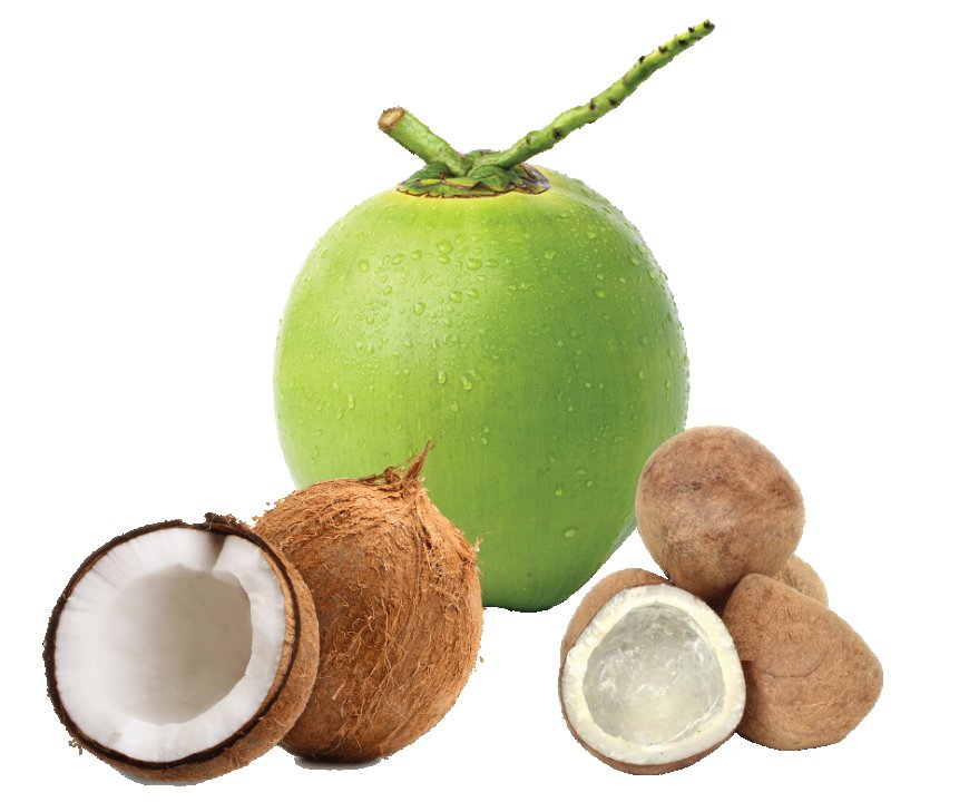 What Does Coconut Water Do for Your Hair? Benefits You Need to Know