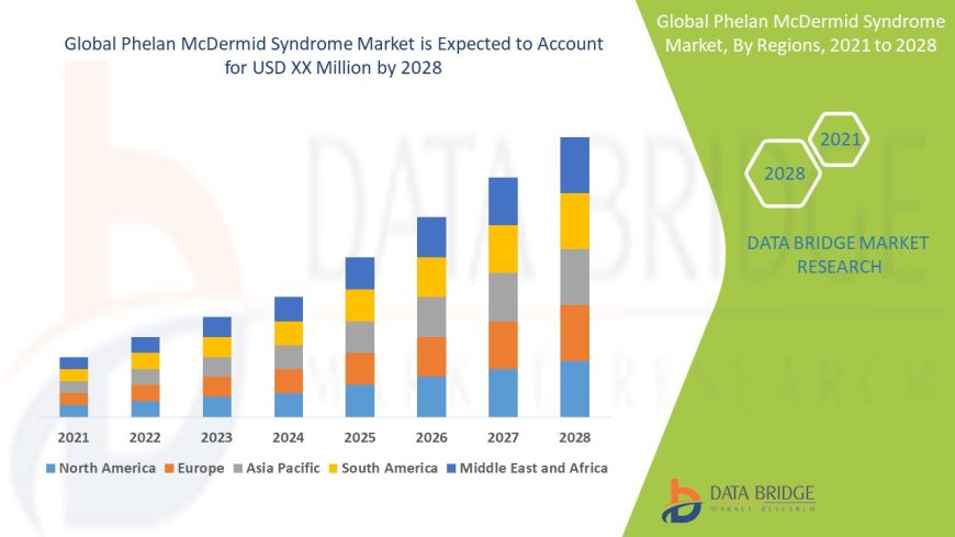 Research Advancements Support Growth in Phelan McDermid Syndrome Treatment Market