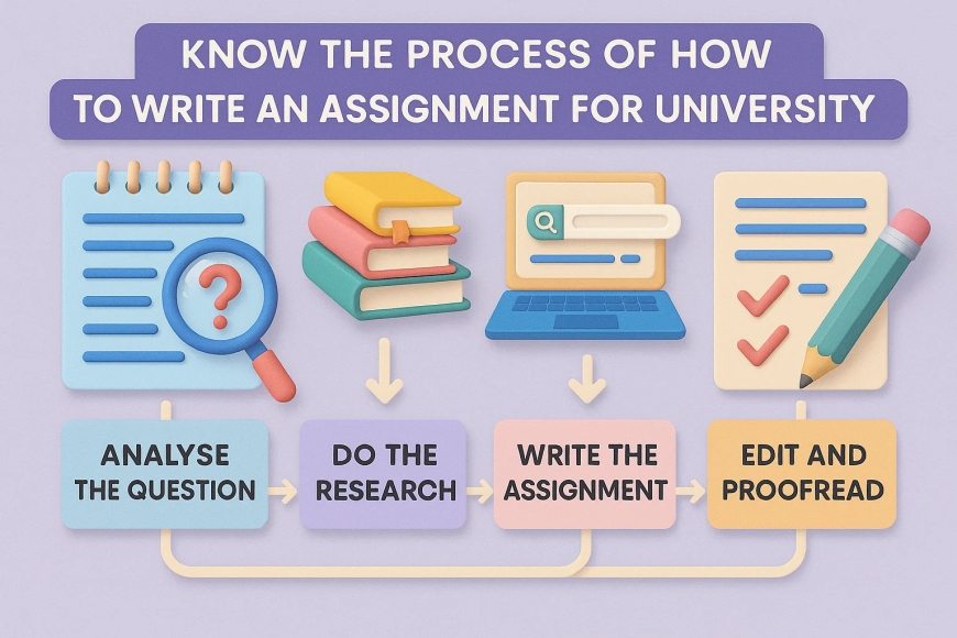 Know the Process of How to Write an Assignment for University