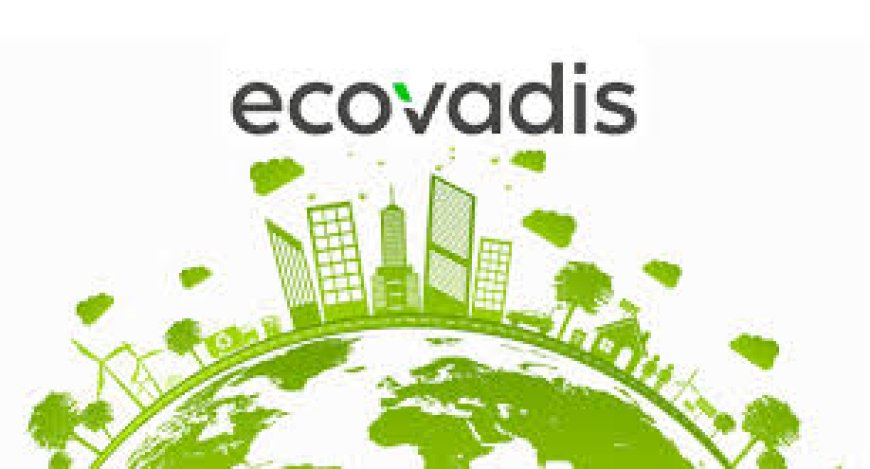 Why EcoVadis Is Becoming a Global Standard for Sustainable Business Practices