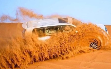 Explore the Best Hatta Tour Deals, Hatta Mountain Tour & Desert Safari Dubai Adventures