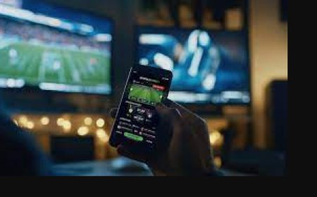 Build a Competitive Sportsbook with White Label Betting Software Solutions