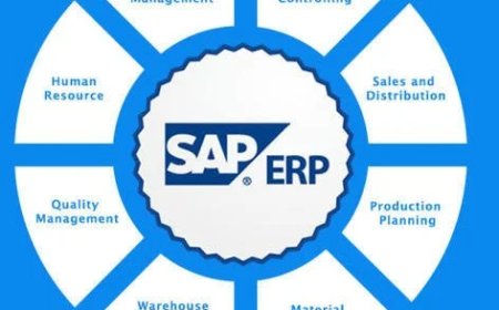 What is SAP Ariba?