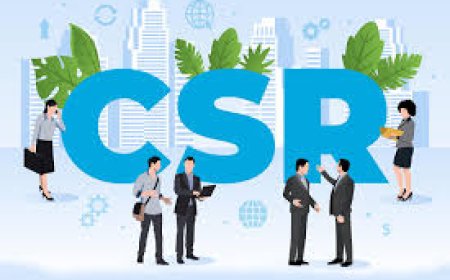 Why Choose a CSR Consulting Firm in Delhi for Effective Social Impact?