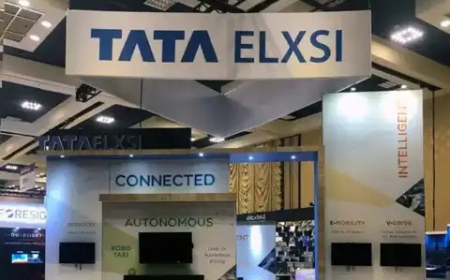 Semiconductor Stocks in India to Watch in 2025: Tata Elxsi, Dixon Technologies & More