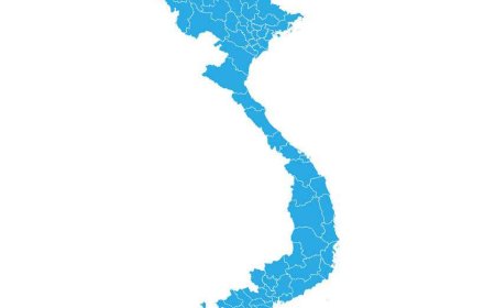 Vietnam Export Data: Tracking Economic Trends and Export Flows