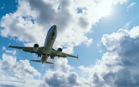 Why Global Travelers Rely on Emirates SEA Phone Number