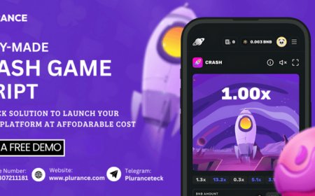 Launch Your Own High-Stakes Crash Game Platform and Turn Rapid Gameplay into Long-Term Revenue