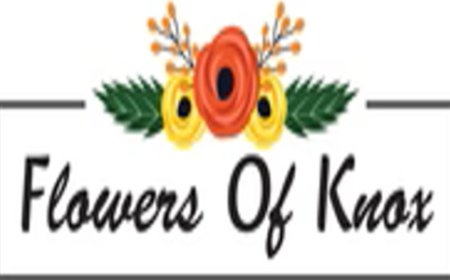 Finding Joy in the Little Things: How Fresh Flowers Brighten Everyday Life