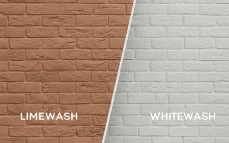 House Painting in Miami: Trends, Requirements, and Best Practices 2025