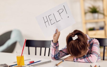 Achieve Academic Success with Professional University Assignment Help and Resit Assignment Support