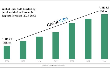 Bulk SMS Marketing Services Industry Analysis: Companies, Competitors & Outlook 2030