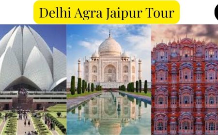 Delhi Agra Jaipur Tour: Majestic India Awaits Your Visit