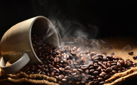 United States Coffee Market to Reach US$ 38.76 Billion by 2033, Fueled by Specialty Trends and Premiumization