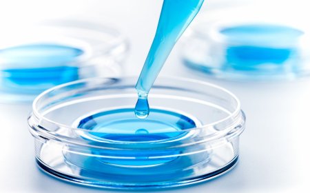 Japan In-Vitro Diagnostics Market to Surpass US$  Billion by 2033, Driven by Technological Advancements and Aging Population